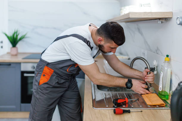 Best Plumbing Inspection Services  in Fordoche, LA